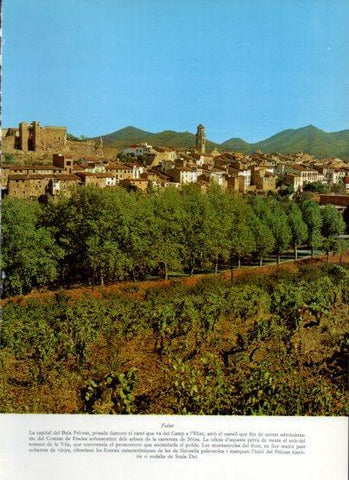 LAMINA V25951: Vista de Falset