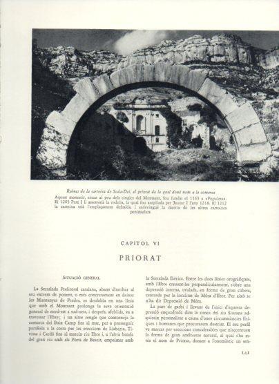 LAMINA V25949: Ruines de la cartoixa de Scala-Dei