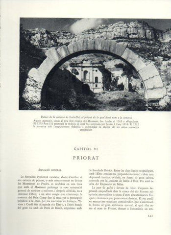 LAMINA V25949: Ruines de la cartoixa de Scala-Dei