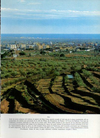 LAMINA V25999: Vista de Reus