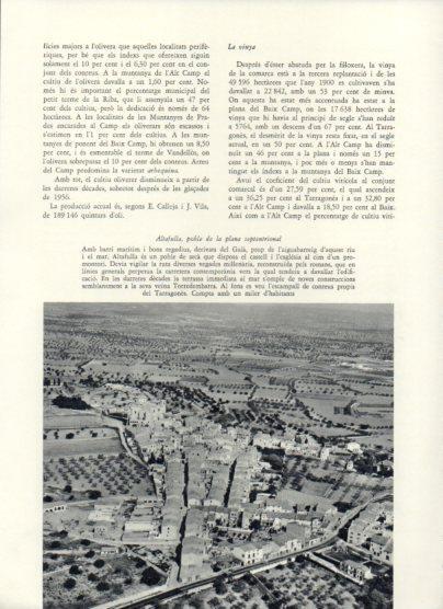LAMINA V25990: Vista aeria d'Altafulla