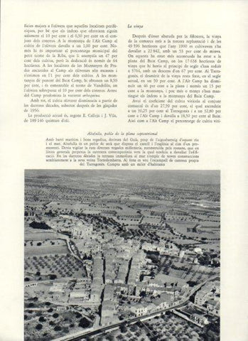 LAMINA V25990: Vista aeria d'Altafulla