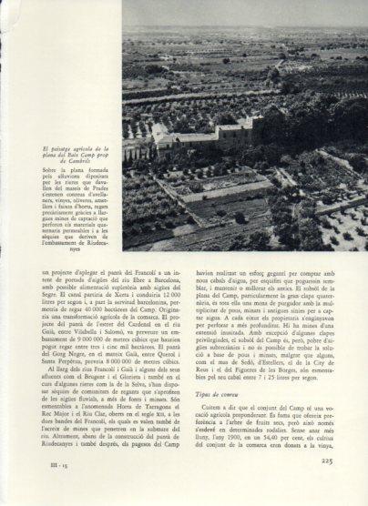 LAMINA V25989: Paissatge agricola prop de Cambrils