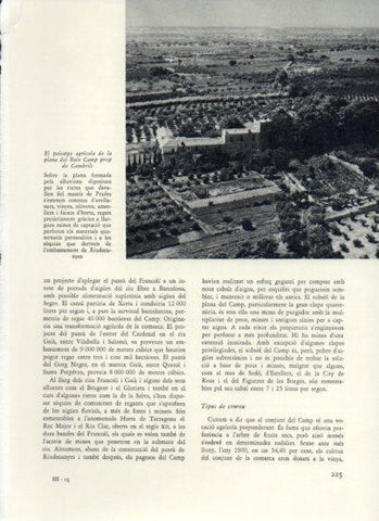 LAMINA V25989: Paissatge agricola prop de Cambrils