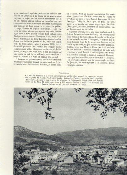 LAMINA V25982: Vista de Picamoixons