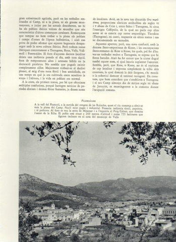 LAMINA V25982: Vista de Picamoixons