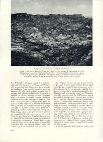 LAMINA V25980: Vista de l'Argentera