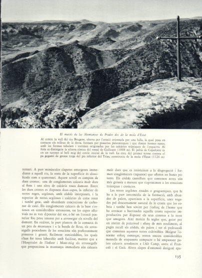 LAMINA V25976: Massis de les Muntanyes de Prades des de la mola d'Estat
