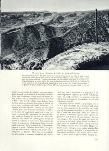 LAMINA V25976: Massis de les Muntanyes de Prades des de la mola d'Estat