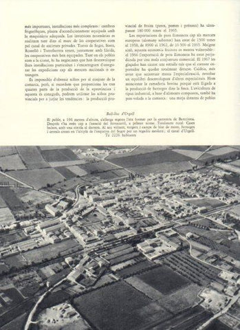 LAMINA V25896: Vista aeria Bell-lloc d'Urgell, Lleida