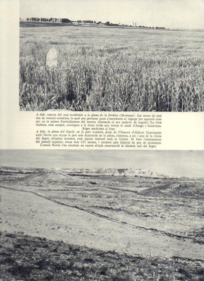 LAMINA V25892: Plana del Segria prop de Vilanova d'Alpicat