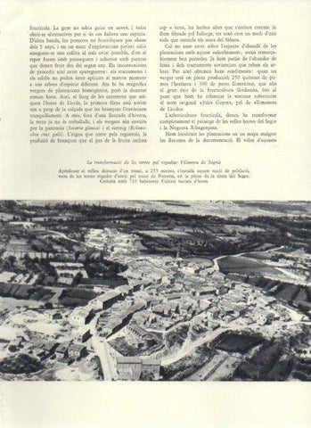 LAMINA V25902: Vista aeria de Vilanova de Segria