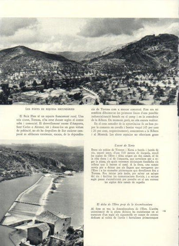 LAMINA V25939: L'assut de Xerta