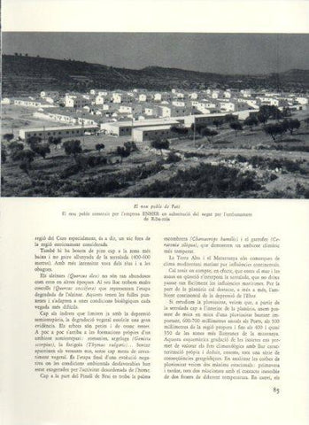 LAMINA V25926: El nou poble de Faio