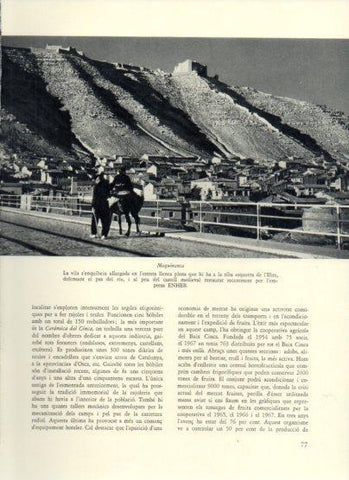 LAMINA V25921: Vista de Mequinensa
