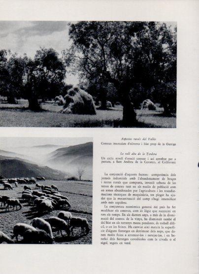 LAMINA V26070: La vall alta de la Tordera