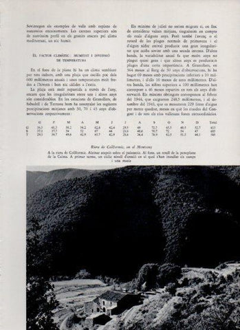LAMINA V26068: Riera de Collformic en el Montseny