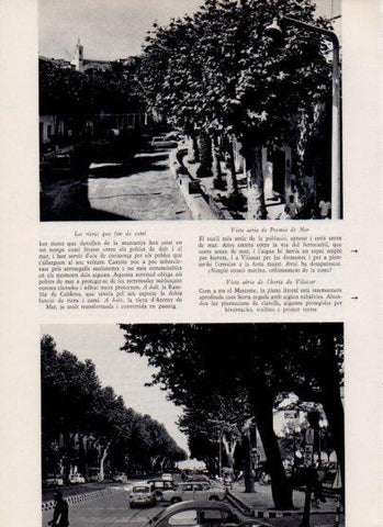 LAMINA V26098: Les rieres de Caldetes