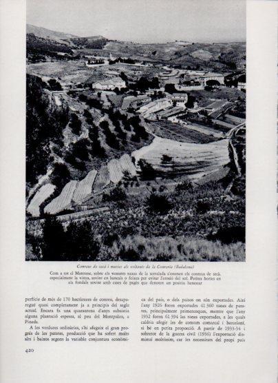 LAMINA V26092: Conreus de seca als voltants de la Conreria, Badalona
