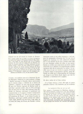 LAMINA V26013: Vilaverd vist des del turonet de l'ermita de Montgoi