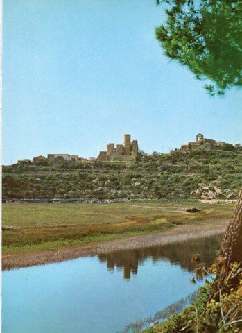 LAMINA V26031: Vista de Castellet
