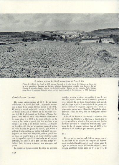 LAMINA V26051: Paisatge agricola als Prats de Rei
