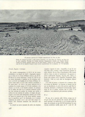 LAMINA V26051: Paisatge agricola als Prats de Rei