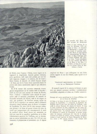 LAMINA V26049: El corredor dels Brucs des dels vessants de Montserrat