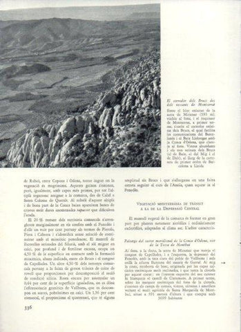 LAMINA V26049: El corredor dels Brucs des dels vessants de Montserrat