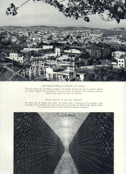 LAMINA V26038: Vista de Sant Sadurni d'Anoia
