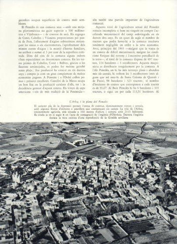LAMINA V26033: Vista aeria de l'Arboç