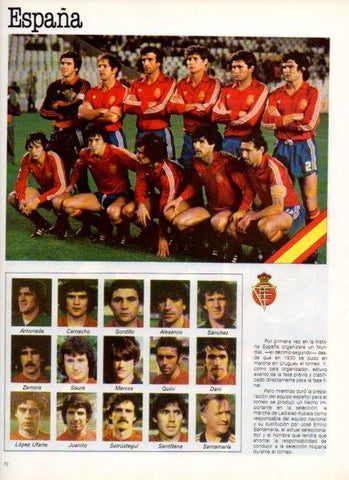 LAMINA V25833: Copa del Mundo de Futbol España 1982. Seleccion de España