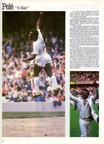 LAMINA V25847: Pele