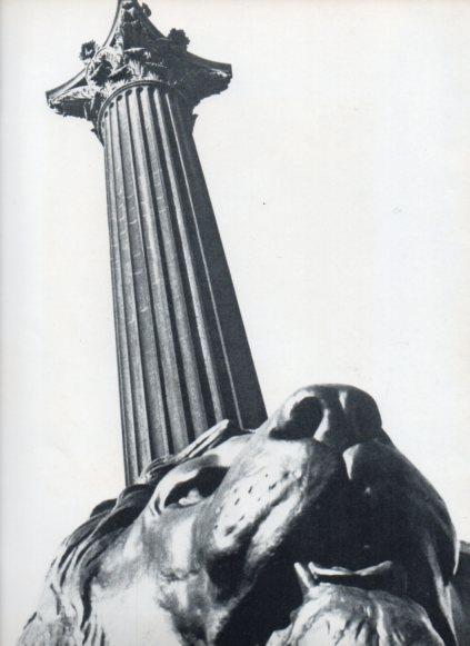LAMINA V25870: Columna de Nelson en Trafalgar Square, Londres
