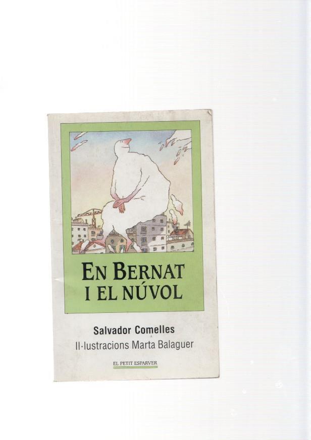 En Bernat i el nuvol