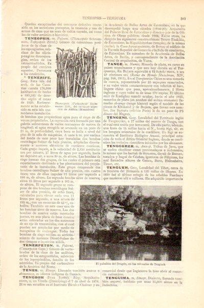 LAMINA V27565: El pabellon del Dragon en Tengueh