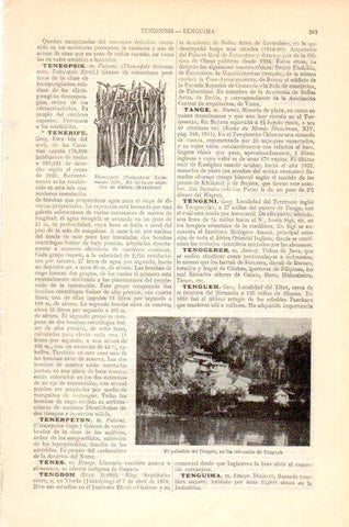 LAMINA V27565: El pabellon del Dragon en Tengueh