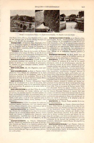 LAMINA V27506: Acueducto de Perera en Esera