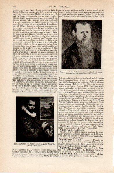 LAMINA V26728: Retrato de Andres Vesalius por Tintoretto
