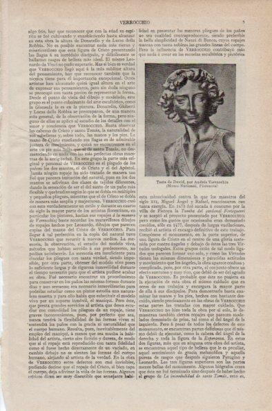 LAMINA V26707: Testa de David por A. Verrocchio