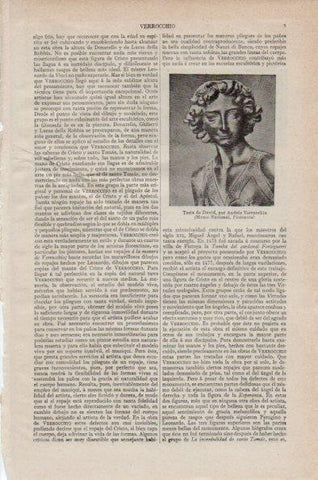 LAMINA V26707: Testa de David por A. Verrocchio