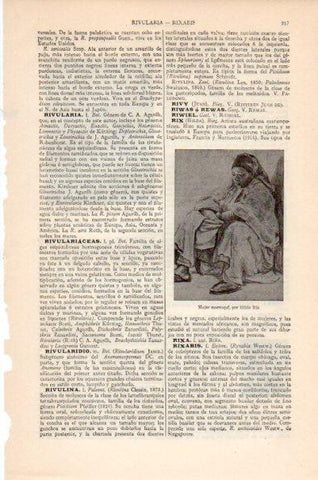 LAMINA V26629: Mujer marroqui por Hilda Rix