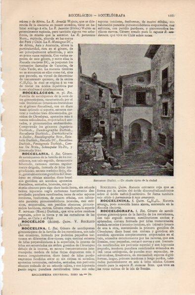 LAMINA V26644: Rincon tipico de Roccaraso