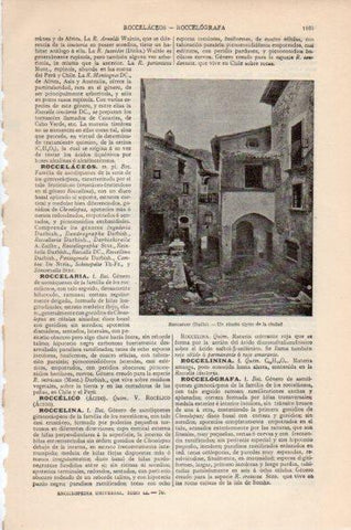 LAMINA V26644: Rincon tipico de Roccaraso