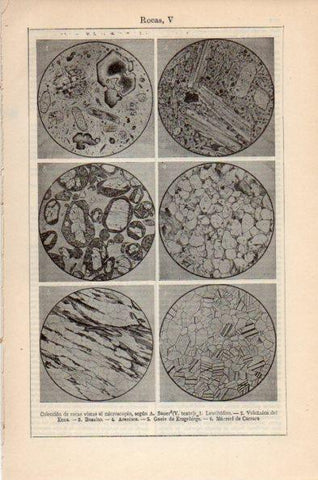 LAMINA V26639: Colección de rocas vistas al microscopio V
