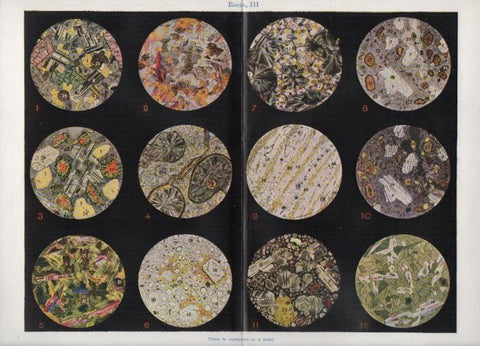 LAMINA V26861: Rocas III