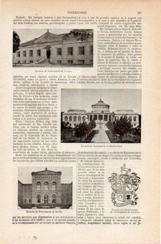 LAMINA V26742: Escuela de Veterinaria de Lisboa, Montevideo y Berlin