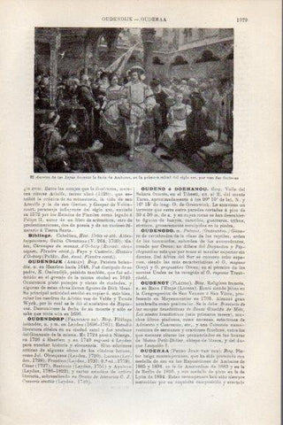 LAMINA V26349: Claustro de las Joyas durante la feria de Amberes por van der Ouderaa