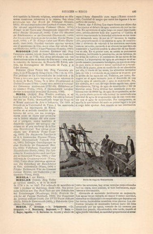 LAMINA V26552: Noria de riego en Mesopotamia