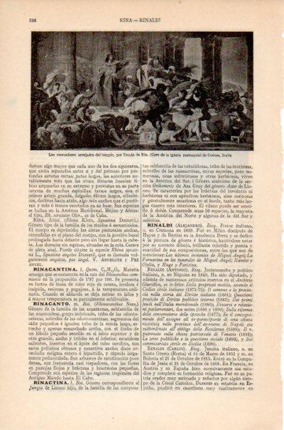 LAMINA V26574: Los mercaderes arrojados del templo por Tomas de Rin